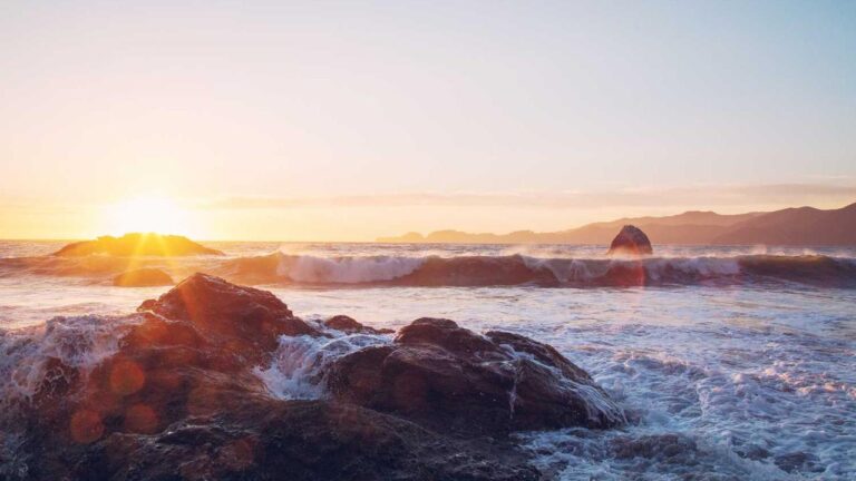 How Can I Check 11Xplay Cricket Match Statistics Live?